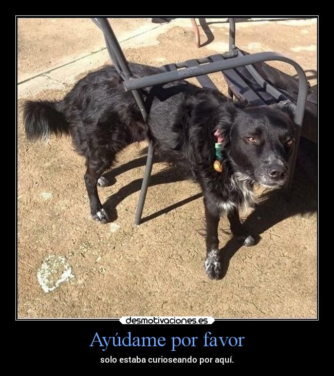 Ayúdame por favor - 