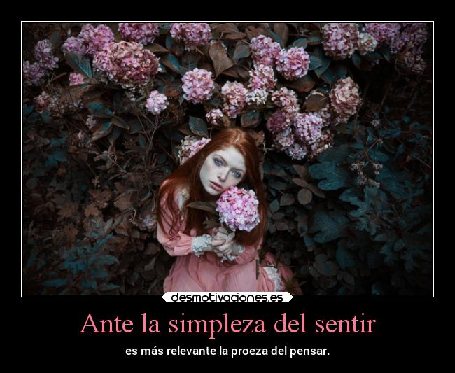 Ante la simpleza del sentir - 