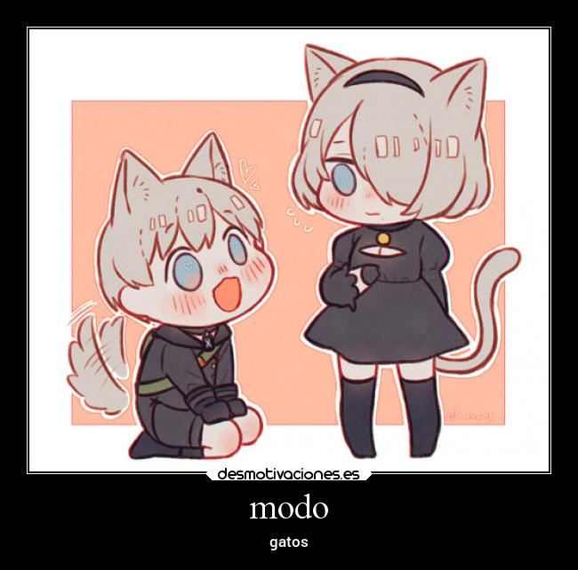 modo - gatos