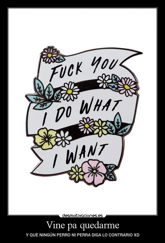 Vine pa quedarme - 