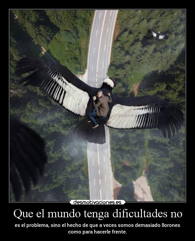 carteles mundo desmotivaciones vida clandesplazado soyunidiotatm projectd manada32 desmotivaciones