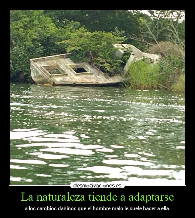 La naturaleza tiende a adaptarse - 