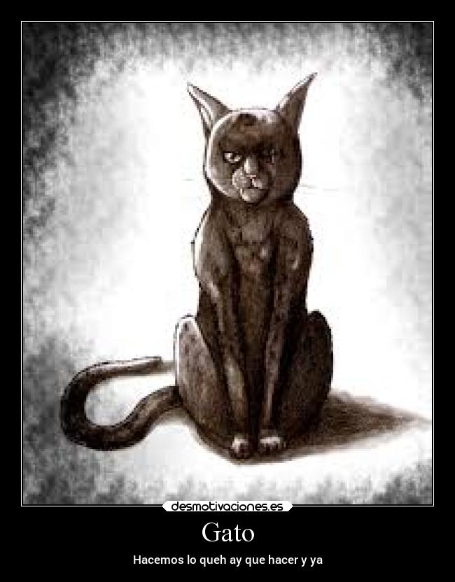 carteles pasado escucharon algo otros vieron otra cosa pero objetivo uno camino solo desmotivaciones