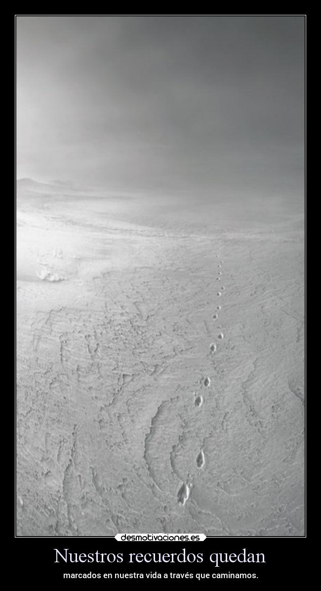 carteles recuerdos vida frases ltsc alex vazquez999 desmotivaciones