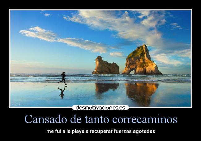 Cansado de tanto correcaminos -