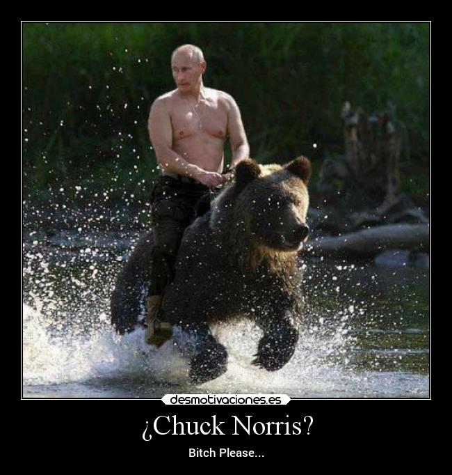 carteles tonto vladimir putin bear powerfull desmotivaciones