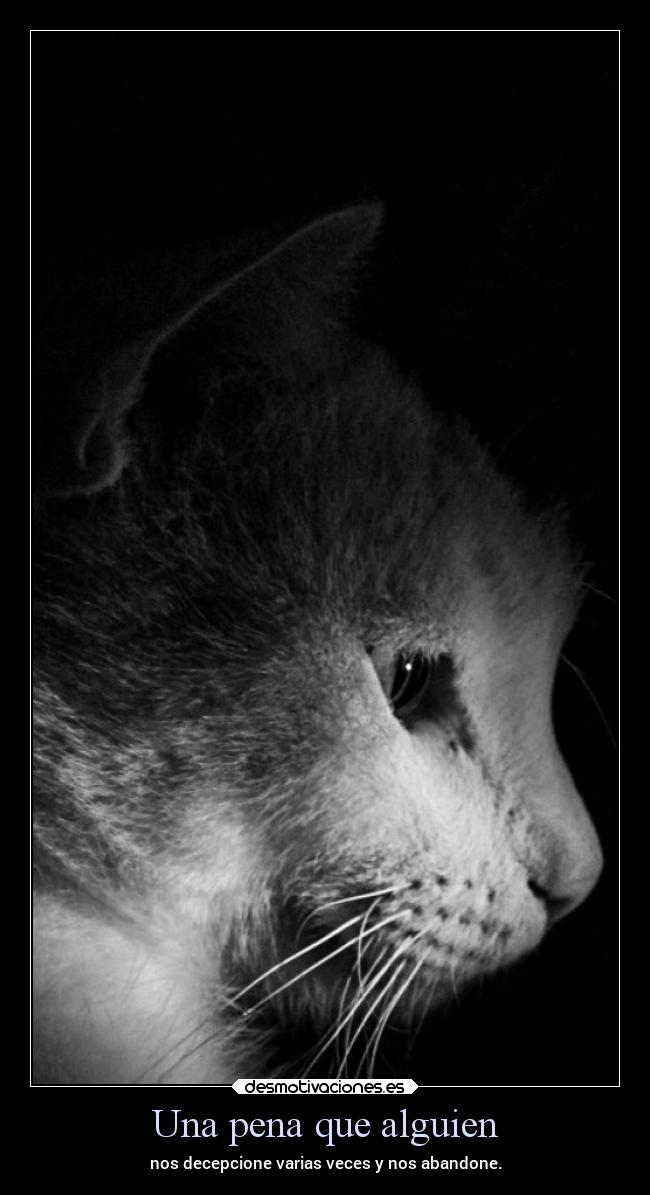 carteles vida frases ltsc alex vazquez999 desmotivaciones