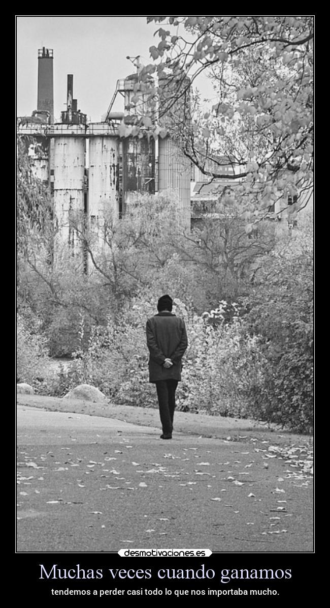 carteles vida frases ltsc alex vazquez999 desmotivaciones