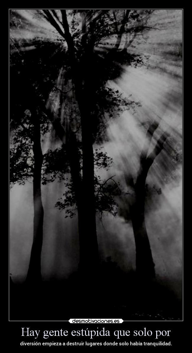 carteles vida frases ltsc alex vazquez999 desmotivaciones