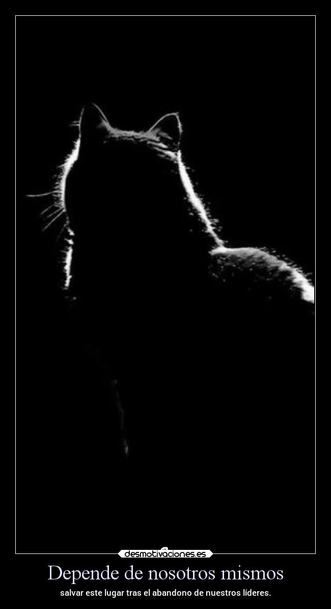 carteles vida frases ltsc alex vazquez999 desmotivaciones