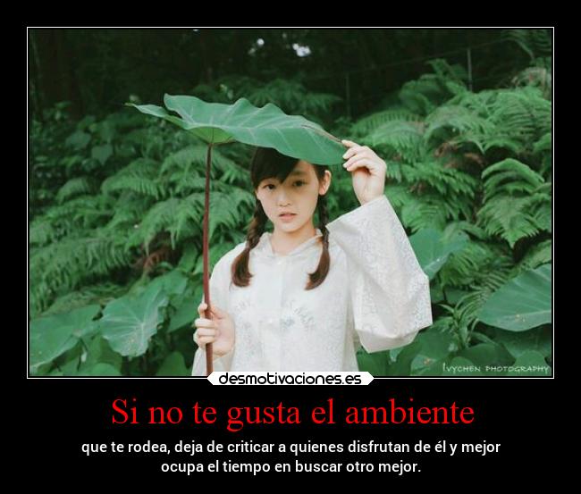 carteles vida pensamientos projectd desmotivaciones