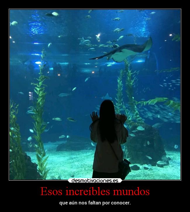 Esos increíbles mundos - que aún nos faltan por conocer.