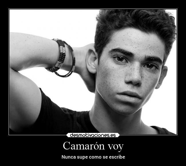 Camarón voy - 