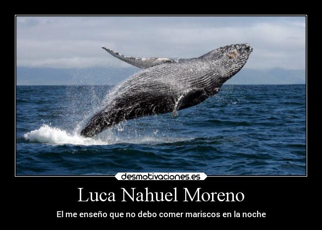 Luca Nahuel Moreno - El me enseño que no debo comer mariscos en la noche