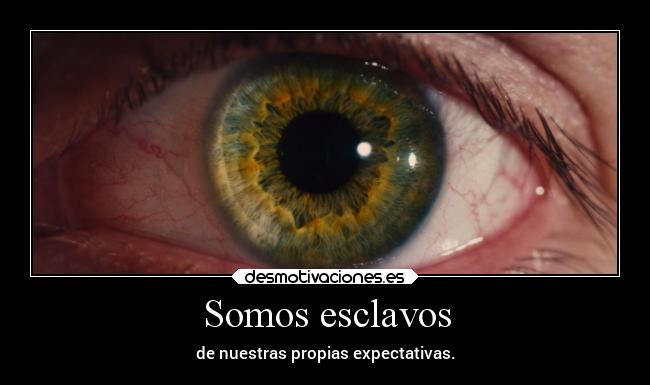 Somos esclavos -