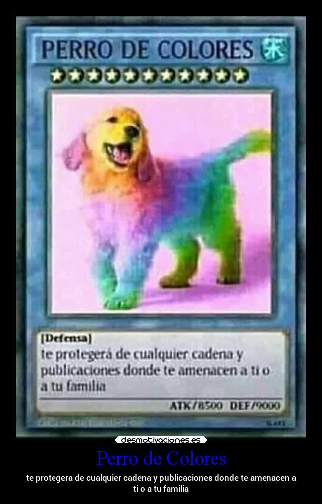 Perro de Colores - 