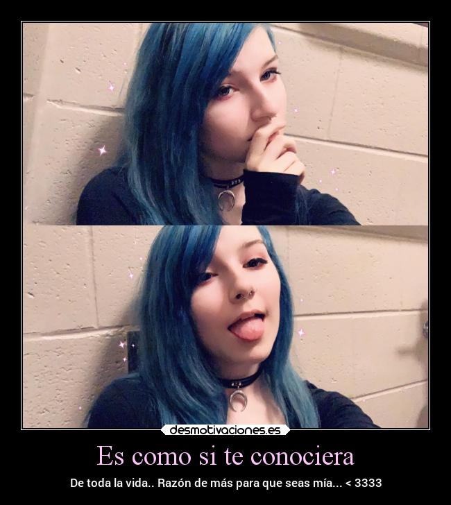 carteles amor consuslabiosmeenvenena aranhamicuellocomosifuerapantera pibon rimas desmotivaciones