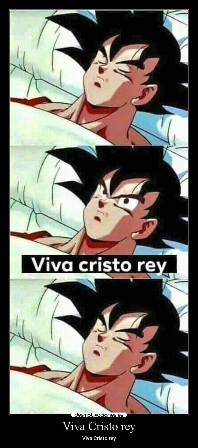 Viva Cristo rey -