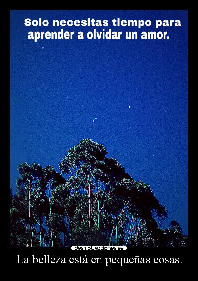 carteles amor desmotivaciones