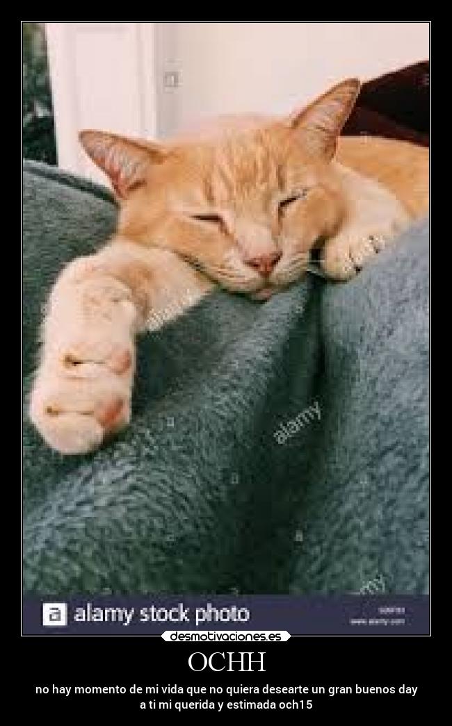 OCHH - no hay momento de mi vida que no quiera desearte un gran buenos day
a ti mi querida y estimada och15