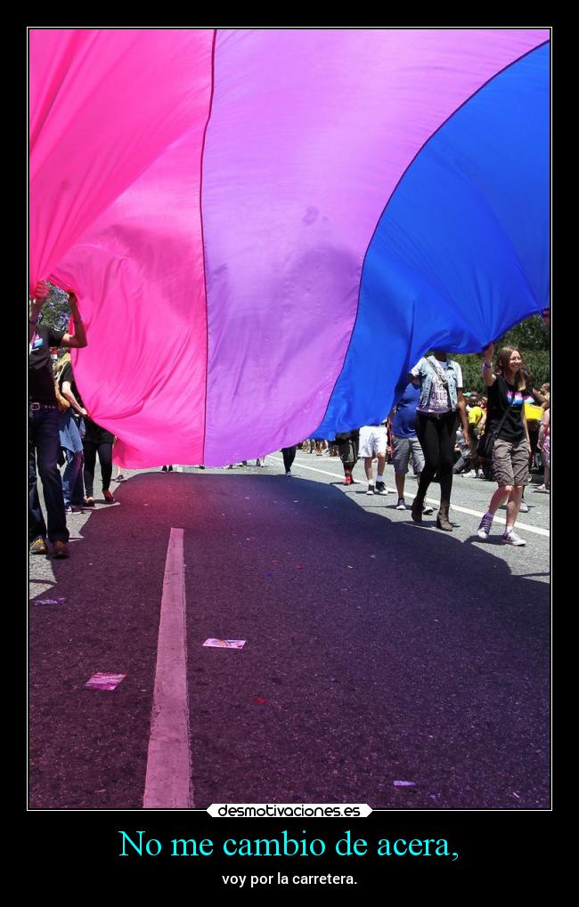 carteles amor sexo bisexualidad orientacionsexual pride bisexualpride desmoverano2019 mimitime desmotivaciones