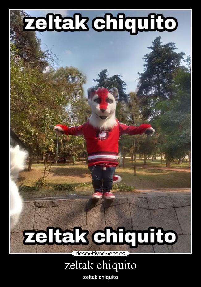 zeltak chiquito - zeltak chiquito