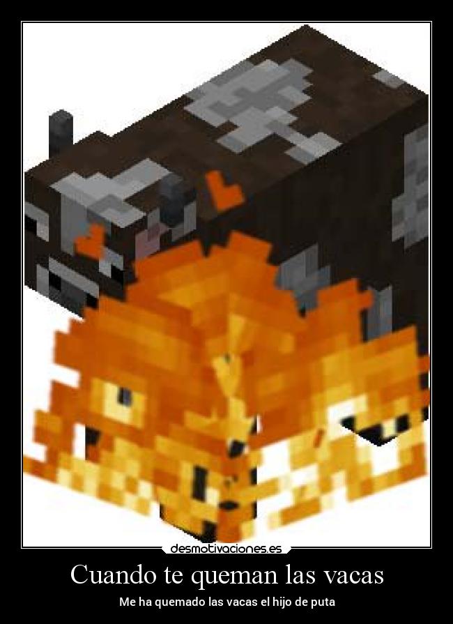 Cuando te queman las vacas - Me ha quemado las vacas el hijo de puta