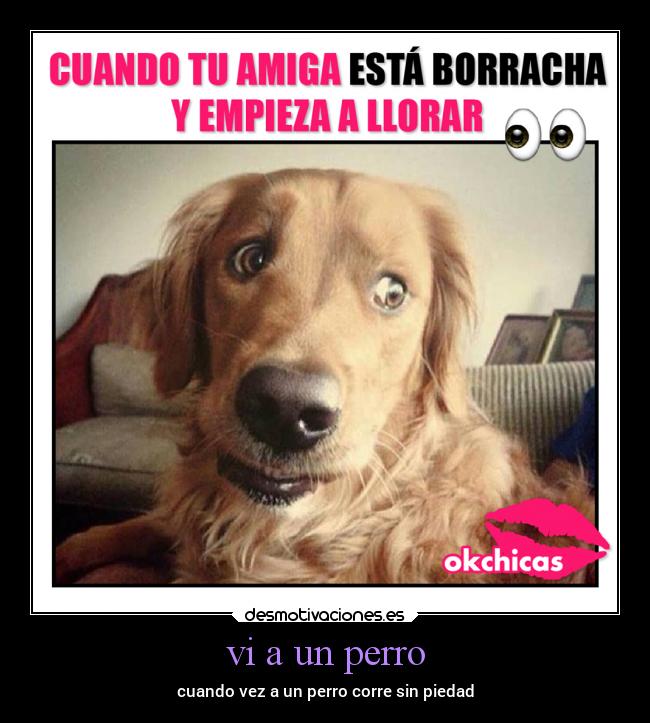 vi a un perro - cuando vez a un perro corre sin piedad