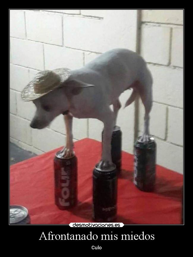 Afrontanado mis miedos -