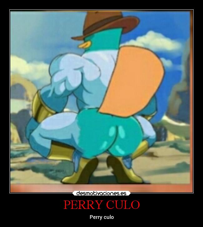 PERRY CULO - 