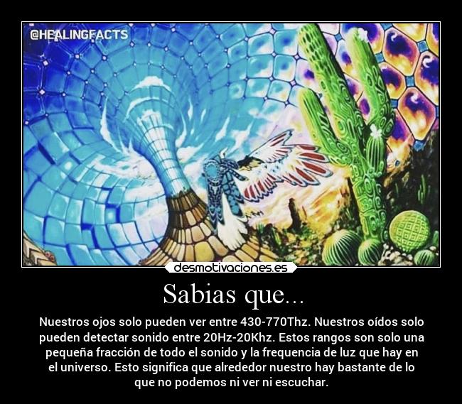 Sabias que... - Nuestros ojos solo pueden ver entre 430-770Thz. Nuestros oídos solo
pueden detectar sonido entre 20Hz-20Khz. Estos rangos son solo una
pequeña fracción de todo el sonido y la frequencia de luz que hay en
el universo. Esto significa que alrededor nuestro hay bastante de lo
que no podemos ni ver ni escuchar.