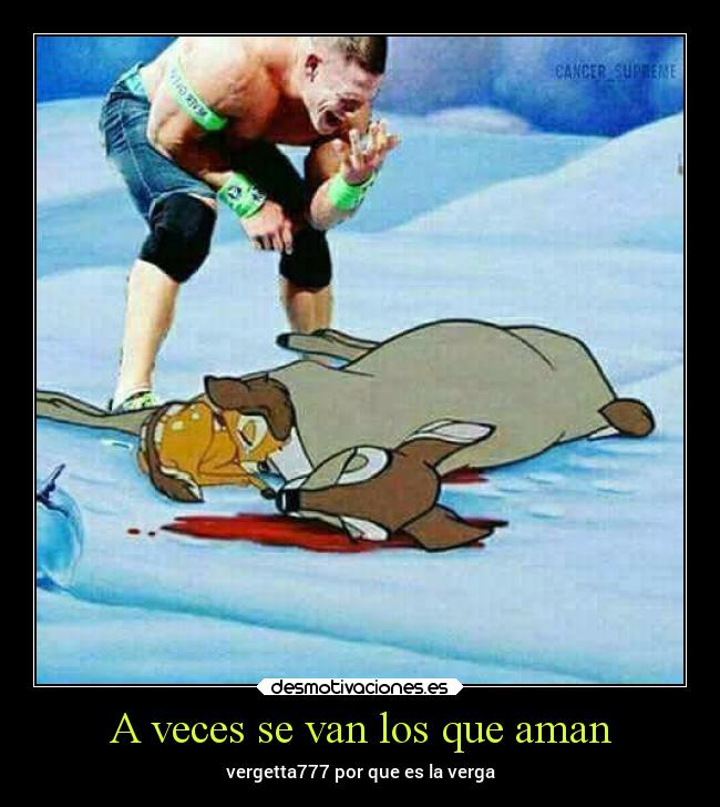 A veces se van los que aman - 