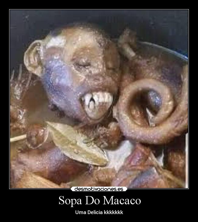 Sopa Do Macaco - 