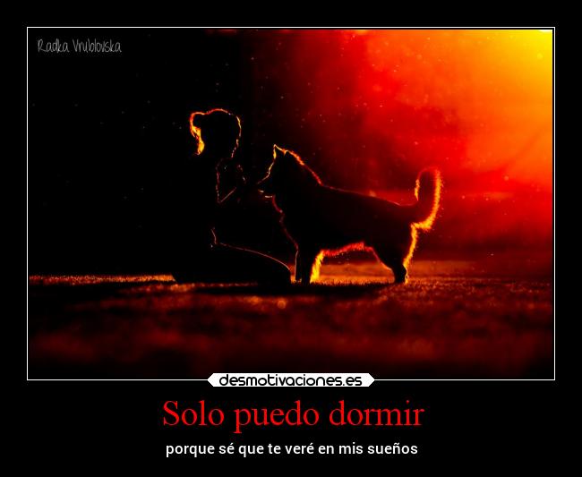 Solo puedo dormir - porque sé que te veré en mis sueños