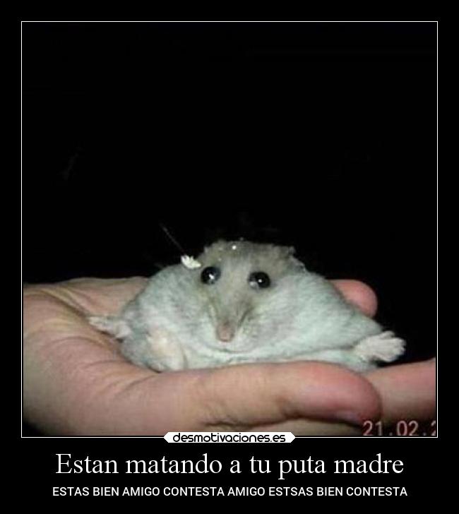 Estan matando a tu puta madre -