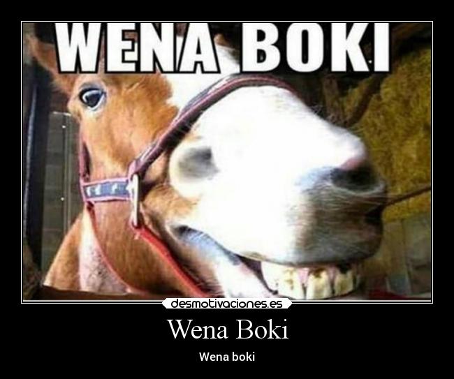 Wena Boki - 