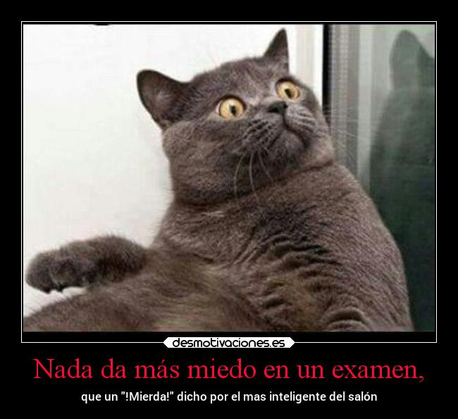 Nada da más miedo en un examen, - que un !Mierda! dicho por el mas inteligente del salón