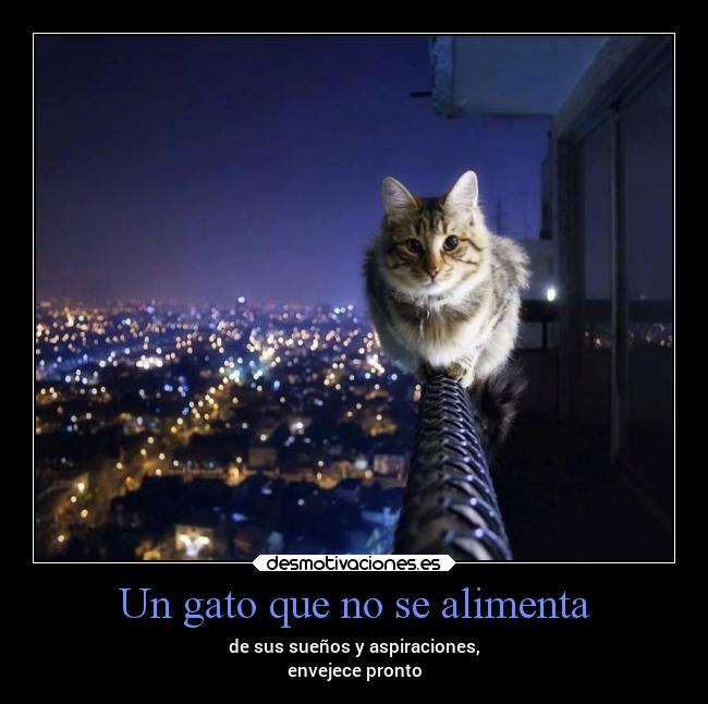 carteles naturaleza desmotivaciones