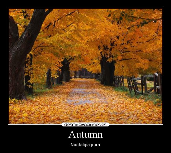 Autumn - Nostalgia pura.