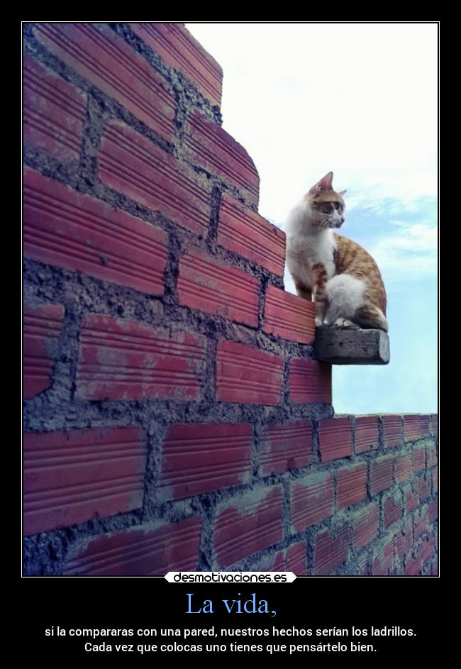 La vida, - si la compararas con una pared, nuestros hechos serían los ladrillos.
Cada vez que colocas uno tienes que pensártelo bien.