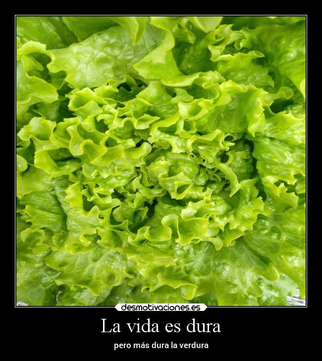 La vida es dura -