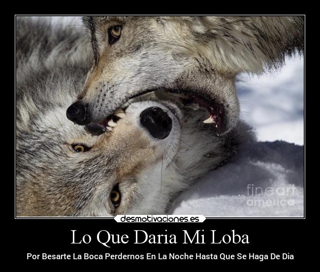 Lo Que Daria Mi Loba - Por Besarte La Boca Perdernos En La Noche Hasta Que Se Haga De Dia