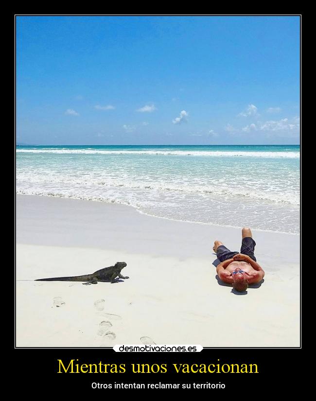 Mientras unos vacacionan -