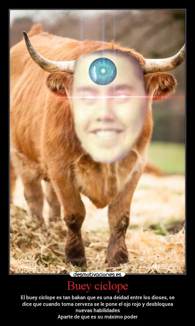 Buey cíclope - 