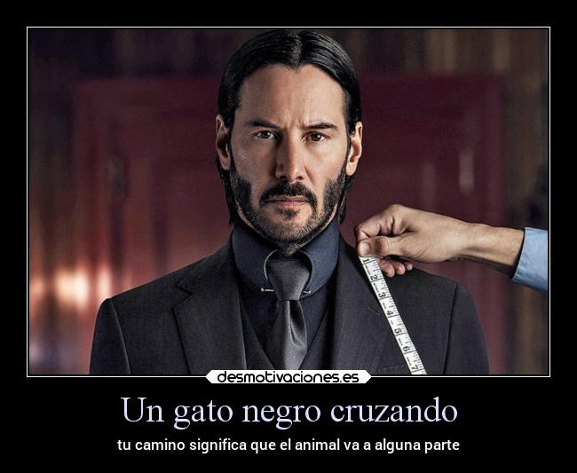 Un gato negro cruzando - tu camino significa que el animal va a alguna parte