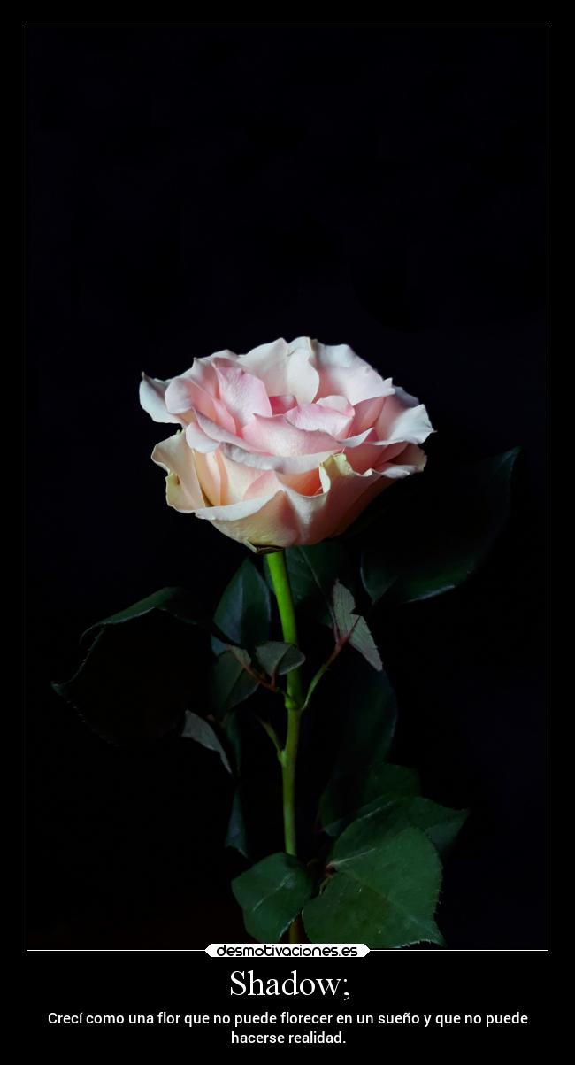 Shadow; - Crecí como una flor que no puede florecer en un sueño y que no puede
hacerse realidad.
