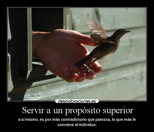 carteles desmotivaciones vida clandesplazado soyunidiotatm manada32 projectd desmotivaciones