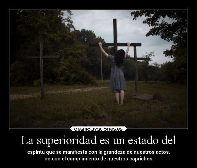 carteles desmotivaciones vida clandesplazado soyunidiotatm manada32 projectd desmotivaciones