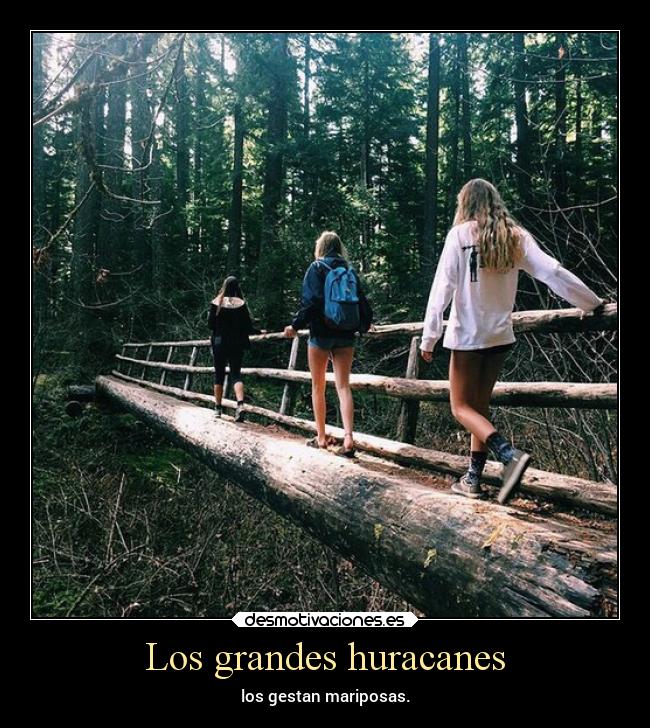 Los grandes huracanes -