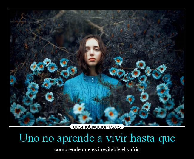 carteles desmotivaciones vida clandesplazado soyunidiotatm manada32 projectd desmotivaciones